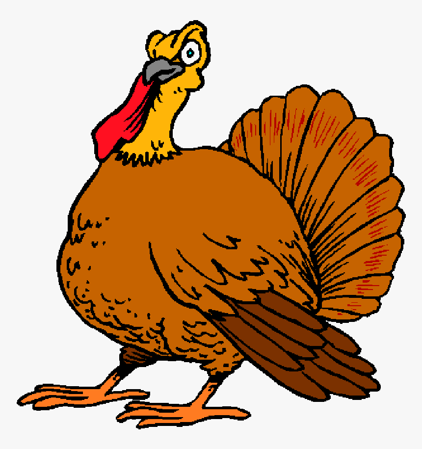 Png Download , Png Download - Animated Turkey, Transparent Png, Free Download