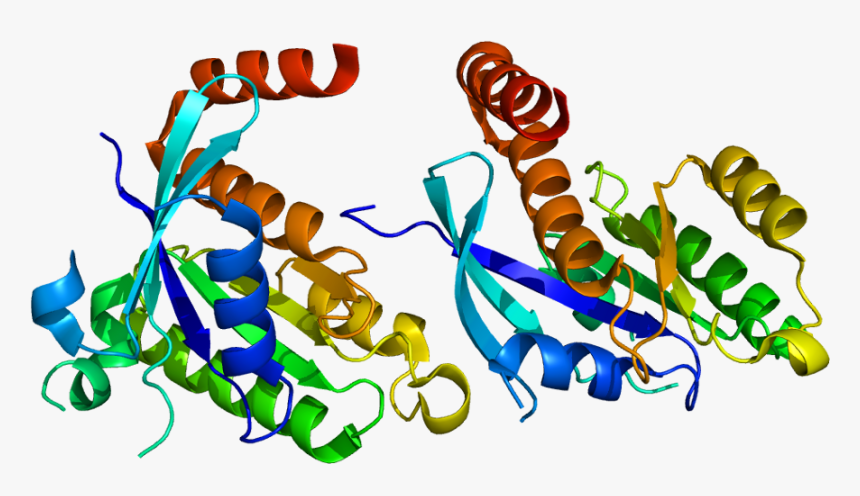 Protein Gem Pdb 2cjw - Gemgene, HD Png Download, Free Download