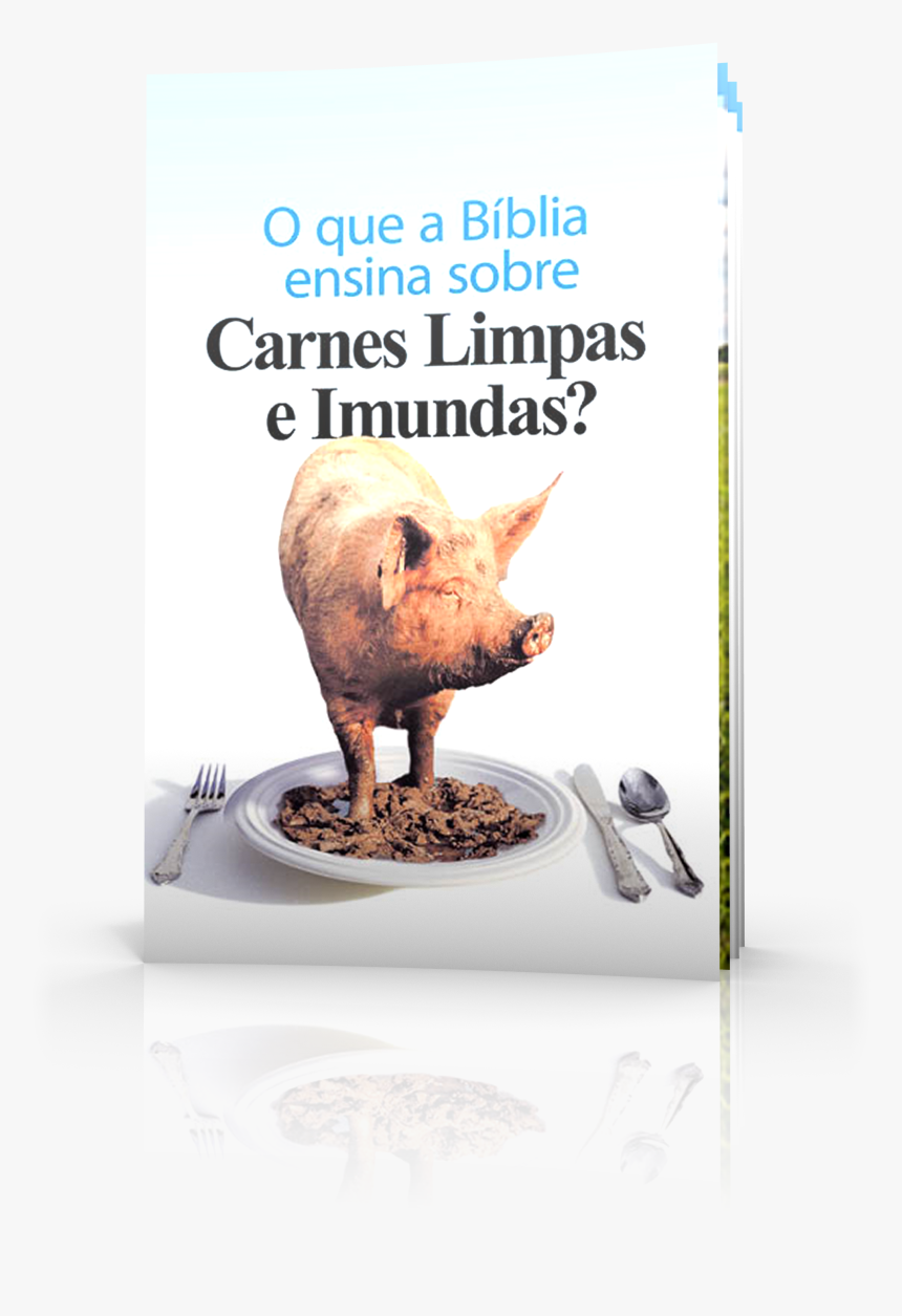 O Que A Bíblia Ensina Sobre Carnes Limpas E Imundas, HD Png Download, Free Download