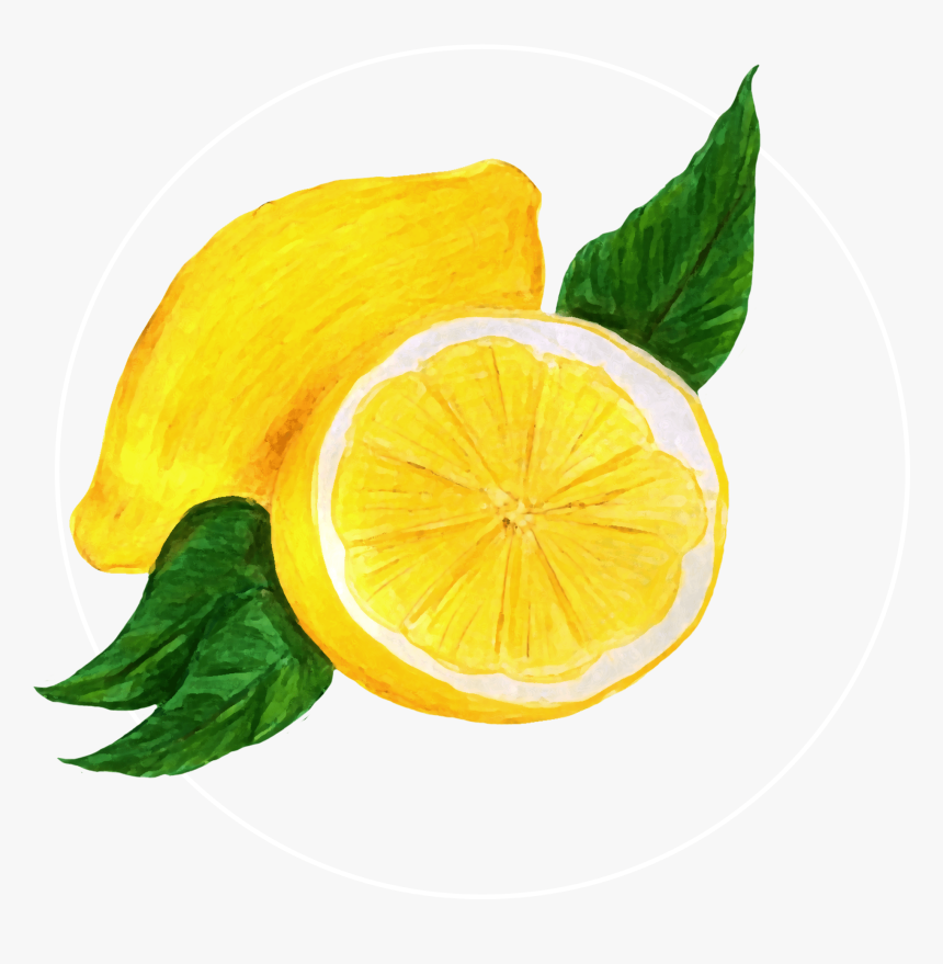 Attribute Motif Lemon White - Sweet Lemon, HD Png Download, Free Download