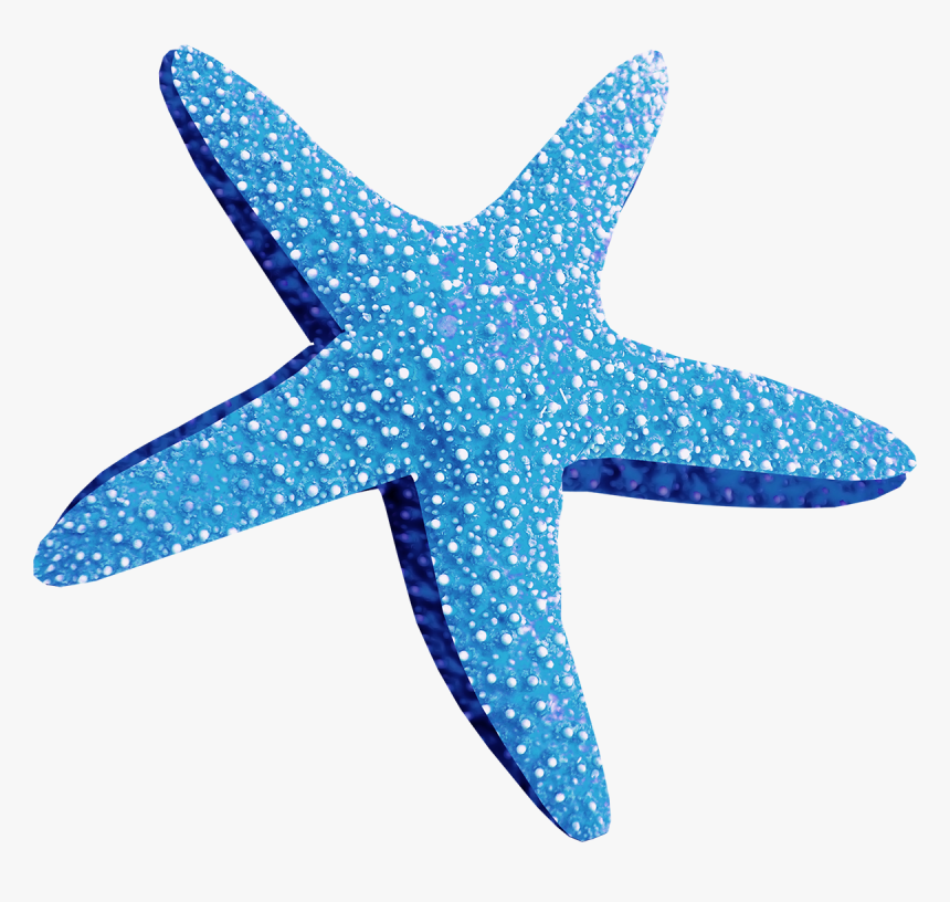 Blue Starfish Png Blue Starfish Png - Starfish Png, Transparent Png, Free Download