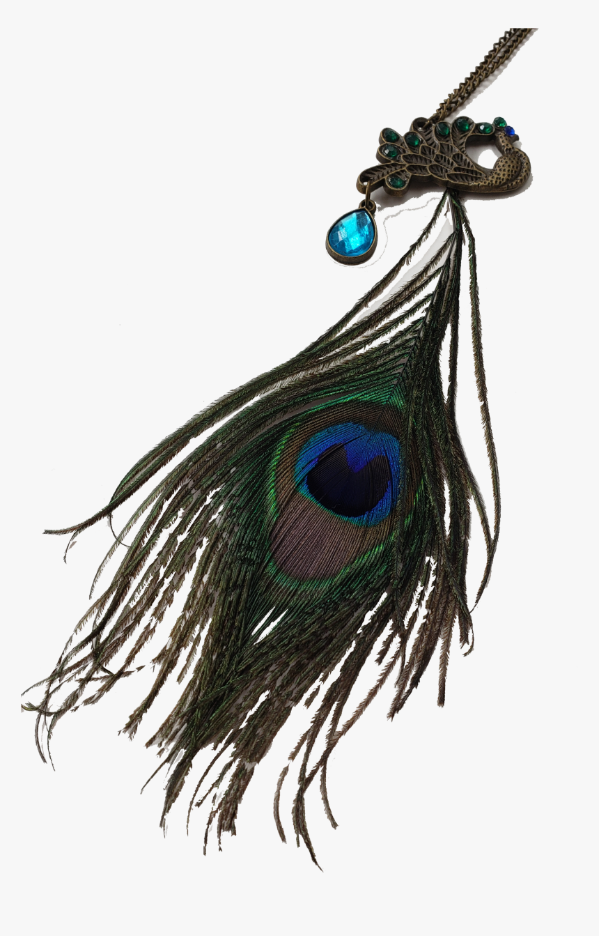 Exotica Peacock Feather Necklace"
 Class="lazyload - Blouse Knot Peacock Feather, HD Png Download, Free Download