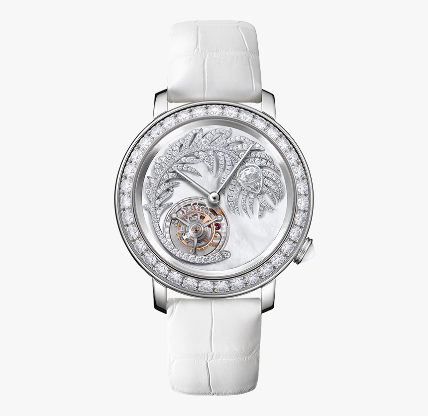 Strap, HD Png Download, Free Download