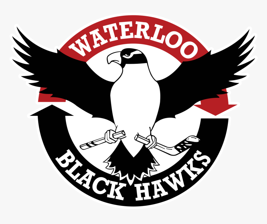 Waterloo Black Hawks Logo, HD Png Download, Free Download