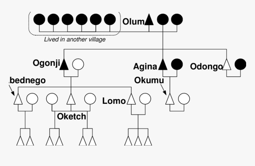 Diagram, HD Png Download, Free Download