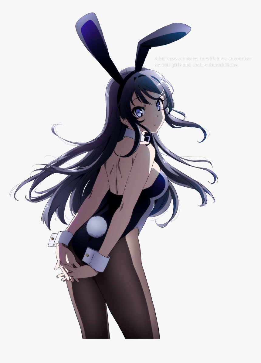 Rascal Does Not Dream Of Bunny Girl Senpai Png, Transparent Png, Free Download