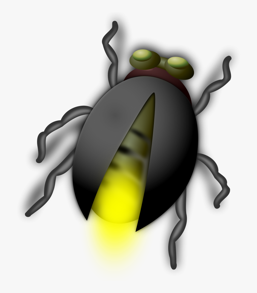 Attacked By Fireflies - June Bug Clip Art, HD Png Download, Free Download