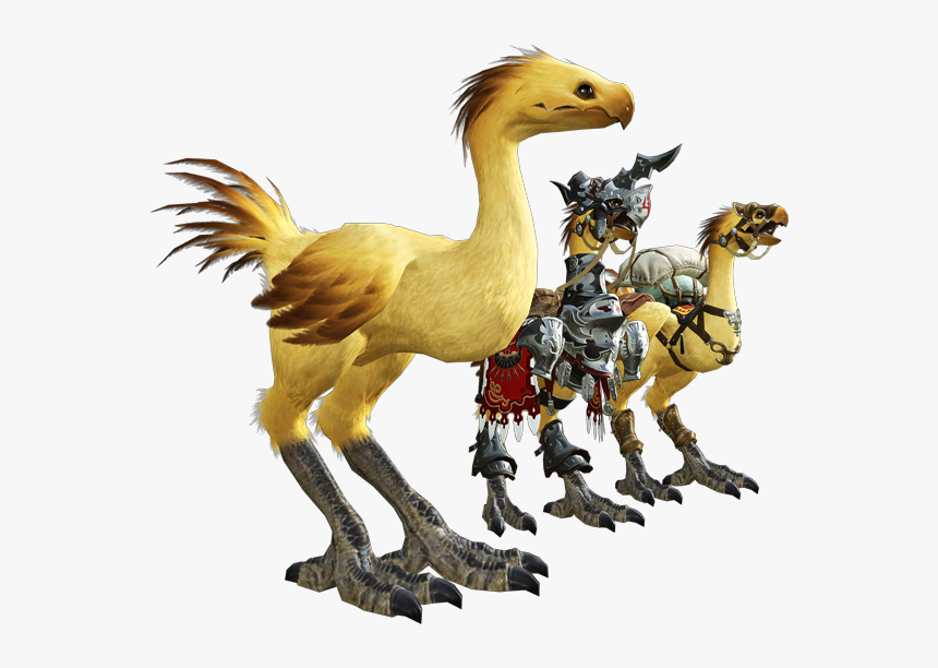 Final Fantasy 14 Chocobo, HD Png Download, Free Download
