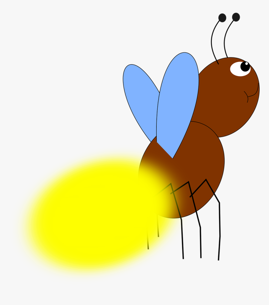 Firefly Clipart For Free Download - Firefly Cartoon Png, Transparent Png, Free Download