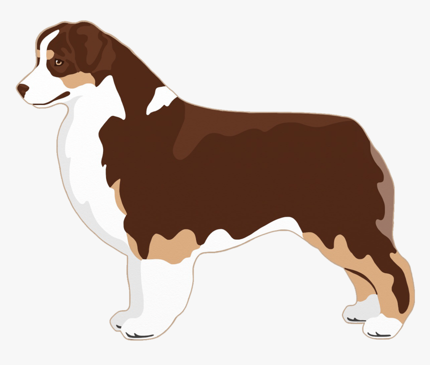 Bernese Mountain Dog, HD Png Download, Free Download