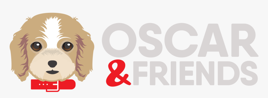 Oscar & Friends Vouchers Codes - Miniature Poodle, HD Png Download, Free Download