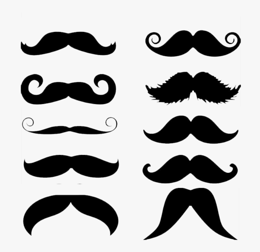 ← Transparent Background Mustaches Clip Art - Mustaches Transparent Background, HD Png Download, Free Download