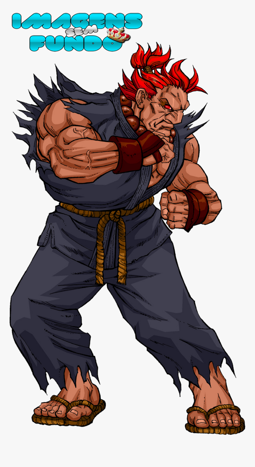 Akuma Street Fighter Imagens, HD Png Download, Free Download