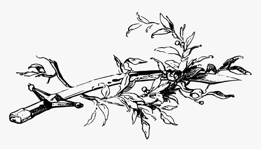 Art,monochrome Photography,monochrome - Sword And Olive Branch, HD Png Download, Free Download