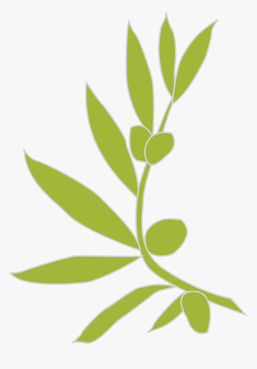 Olive Branch Vector Png, Transparent Png, Free Download