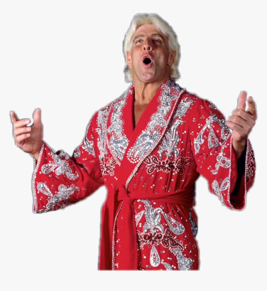 Ric Flair Costume Ideas, HD Png Download, Free Download
