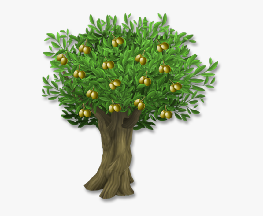 Olive Leaf Tree Clip Art - Olive Tree With Olives Png, Transparent Png, Free Download