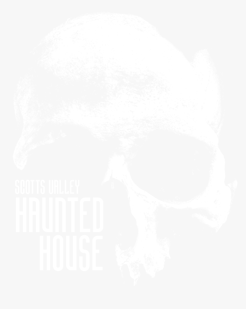 Skull, HD Png Download, Free Download