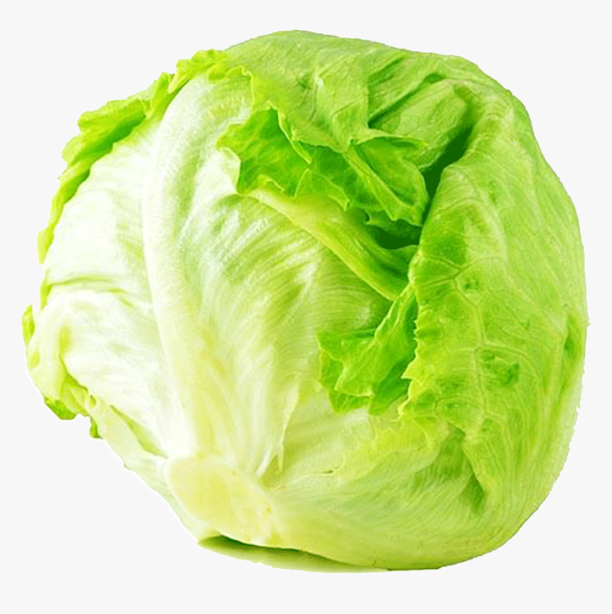 Alfatah Iceberg Kg - Transparent Background Lettuce Png, Png Download, Free Download