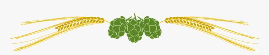 Hops, Barley, Beer, Beverage, Bitter, Brewing - Transparent Background Hops Clipart, HD Png Download, Free Download