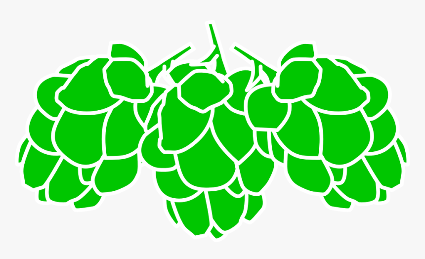 Hops, Cereals, Green, Plant, Fruit, Bunch, Cluster - Malt And Hops Vector, HD Png Download, Free Download