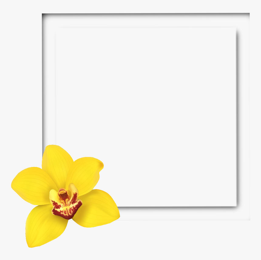 #square #frame #3d #yellow #flower #frames #border - Yellow Flower Frames And Borders, HD Png Download, Free Download