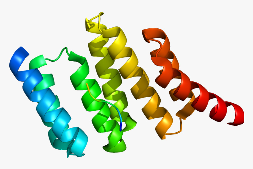 Protein Stip1 Pdb 1elr - Meevd With Tpr2a, HD Png Download, Free Download