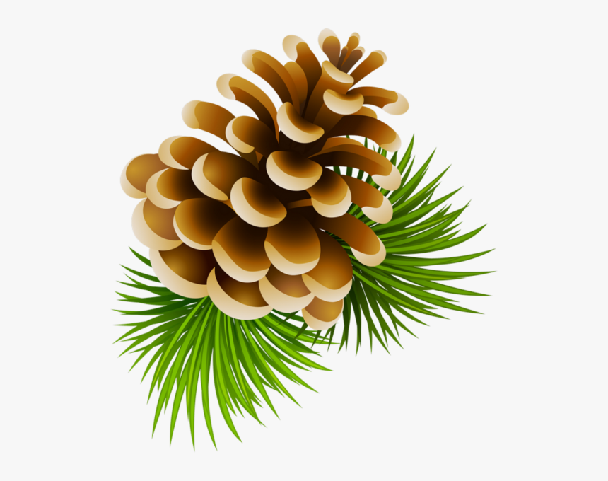 Transparent Pine Cone Clip Art - Pine Cones Clipart, HD Png Download, Free Download