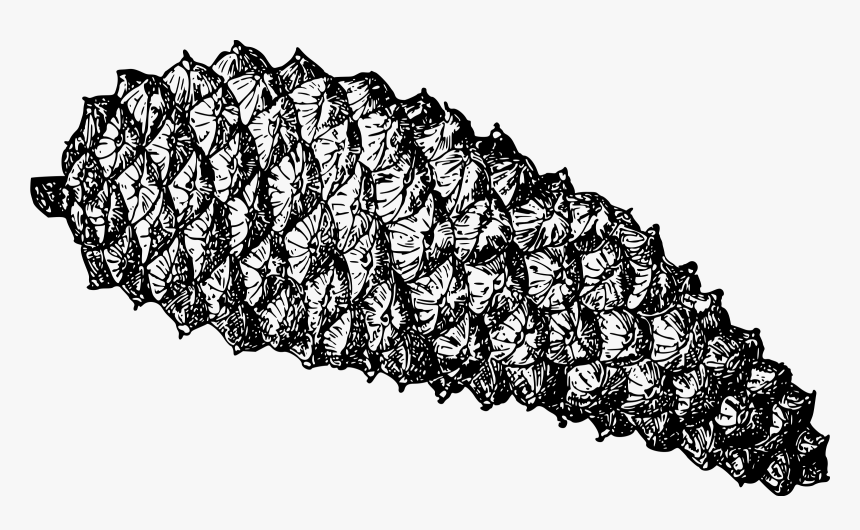 Pine Cone 3 Clip Arts - Cara Menggambar Buah Pinus, HD Png Download, Free Download