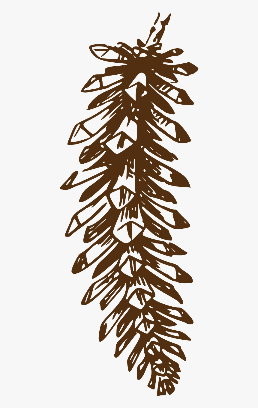 Pine Cone Plant Png, Transparent Png, Free Download