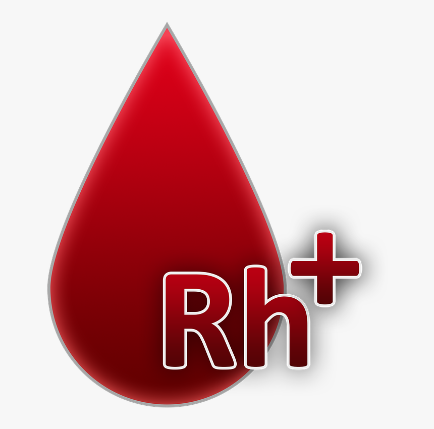 Blood Group Rh Factor Positive Blood Free Picture - Grupo Sanguineo Ab Positivo, HD Png Download, Free Download