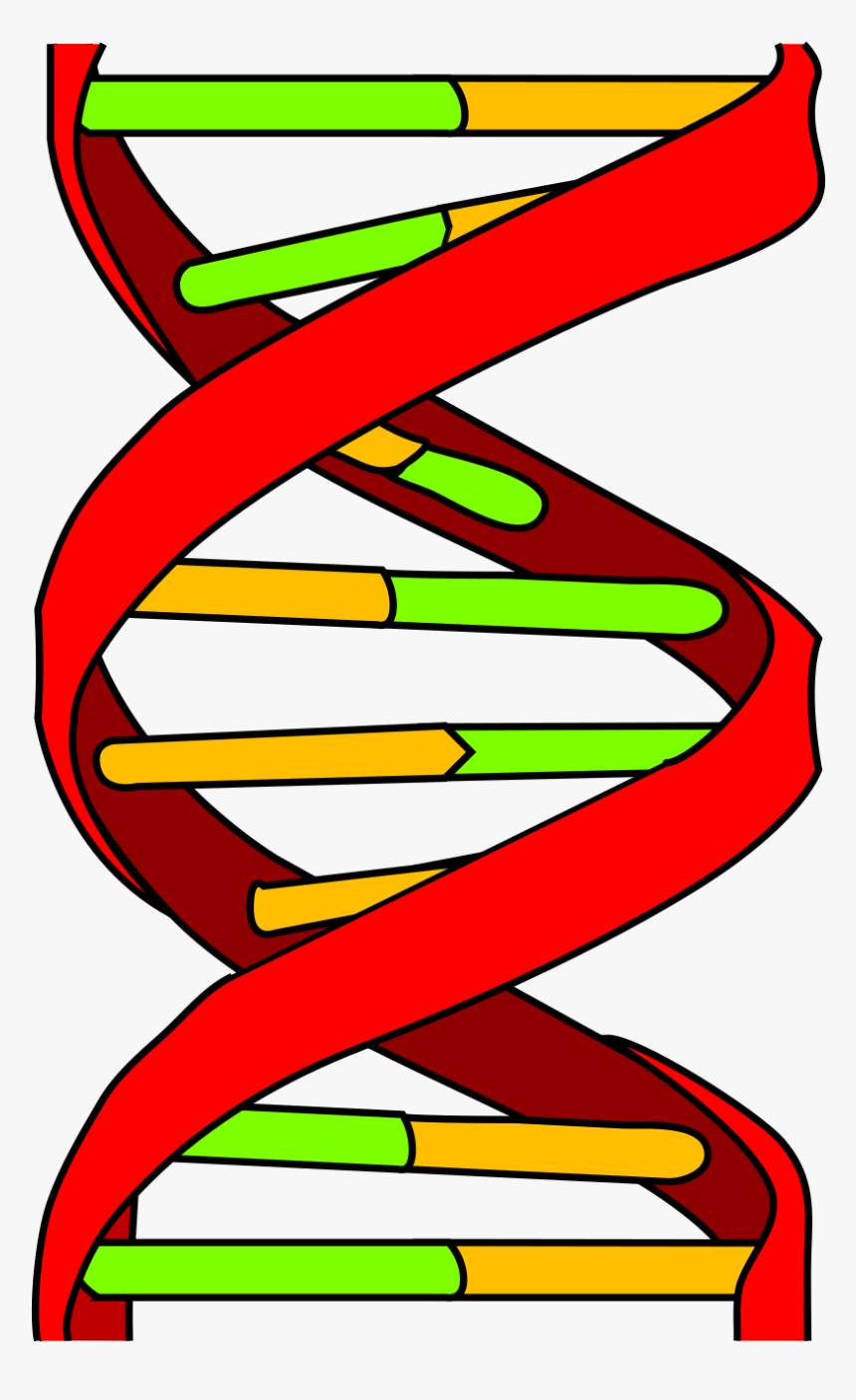 Dna Memes, HD Png Download, Free Download