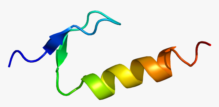 Dna Clipart Dna Replication - Dna Polymerase Eta, HD Png Download, Free Download