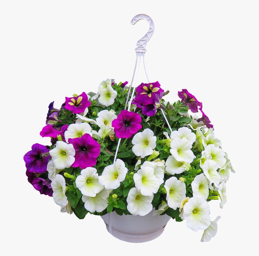 Hanging Baskets Flowers Transparent Background, HD Png Download, Free Download