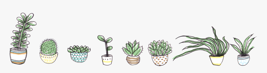 Plant Banner Png, Transparent Png, Free Download