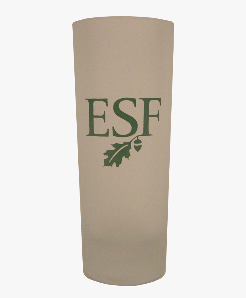 Shot Glass - State University Of New York College Of Environmental, HD Png Download, Free Download