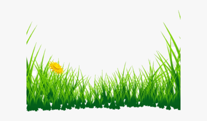 Grass Clipart Boarder Green Transparent Png - Grass Clipart Png, Png Download, Free Download
