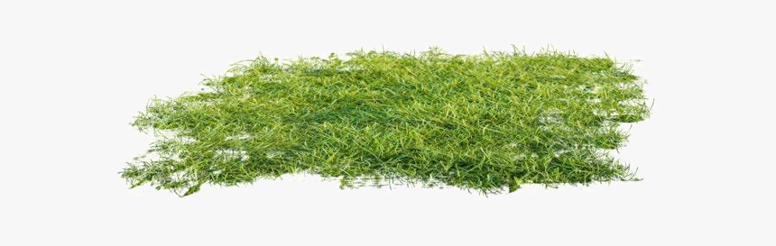 Ground Png Clipart - Moss Png Transparent, Png Download, Free Download