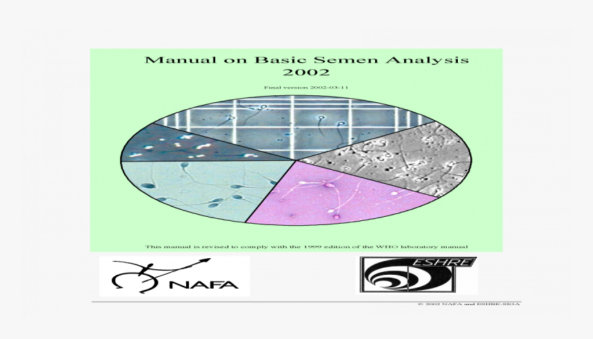 Diagram, HD Png Download, Free Download