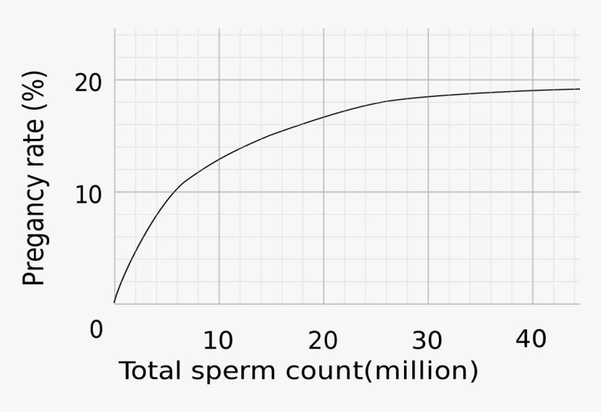 Success Rates By Amount Of Sperm - Pregnancy Statistics Low Sperm Count, HD Png Download, Free Download