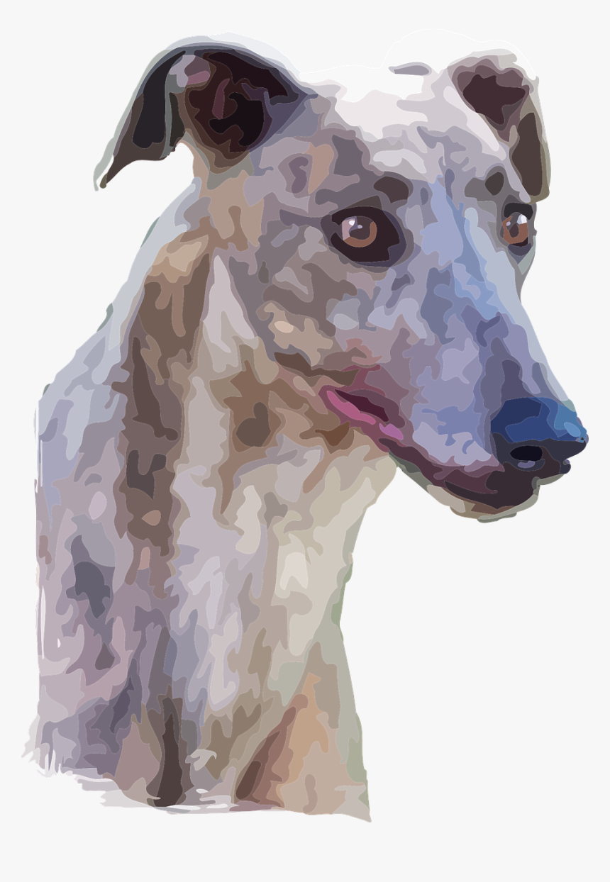 Watercolor Of Greyhound Dog, HD Png Download, Free Download