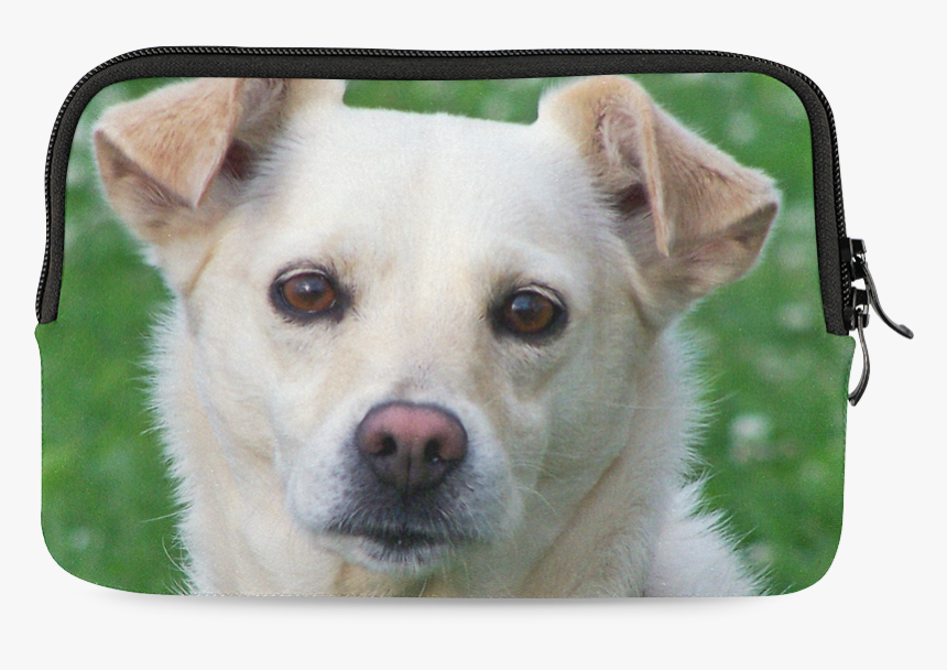 Dog Face Close-up Ipad Mini, HD Png Download, Free Download