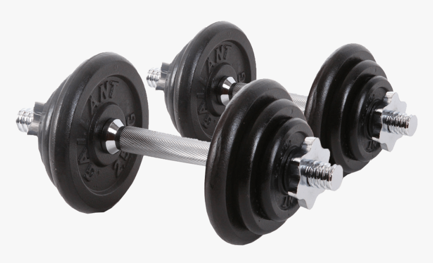 Dumbells Transparent Background Image - Free Weights Transparent Background, HD Png Download, Free Download