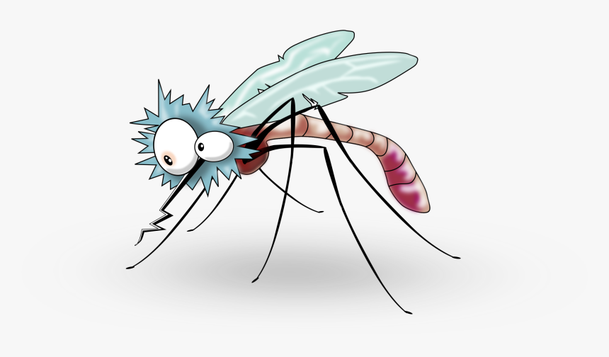 Pin By Paula Rice - Transparent Background Mosquito Clipart Transparent, HD Png Download, Free Download