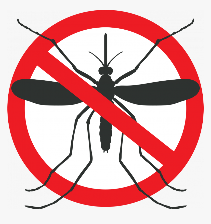 Mosquito Graphic - Mosquito Crossed Out, HD Png Download, Free Download