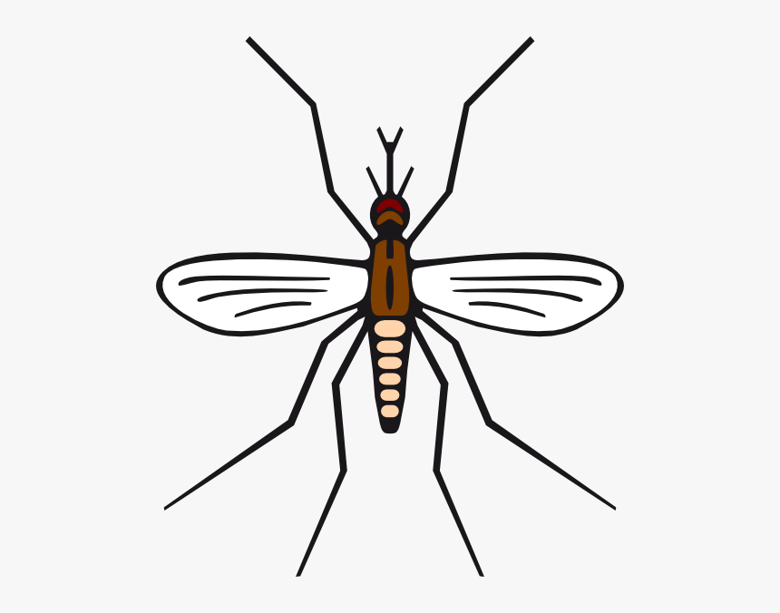 Mosquito In Brown Color Svg Clip Arts - Mosquito Black And White Clipart, HD Png Download, Free Download