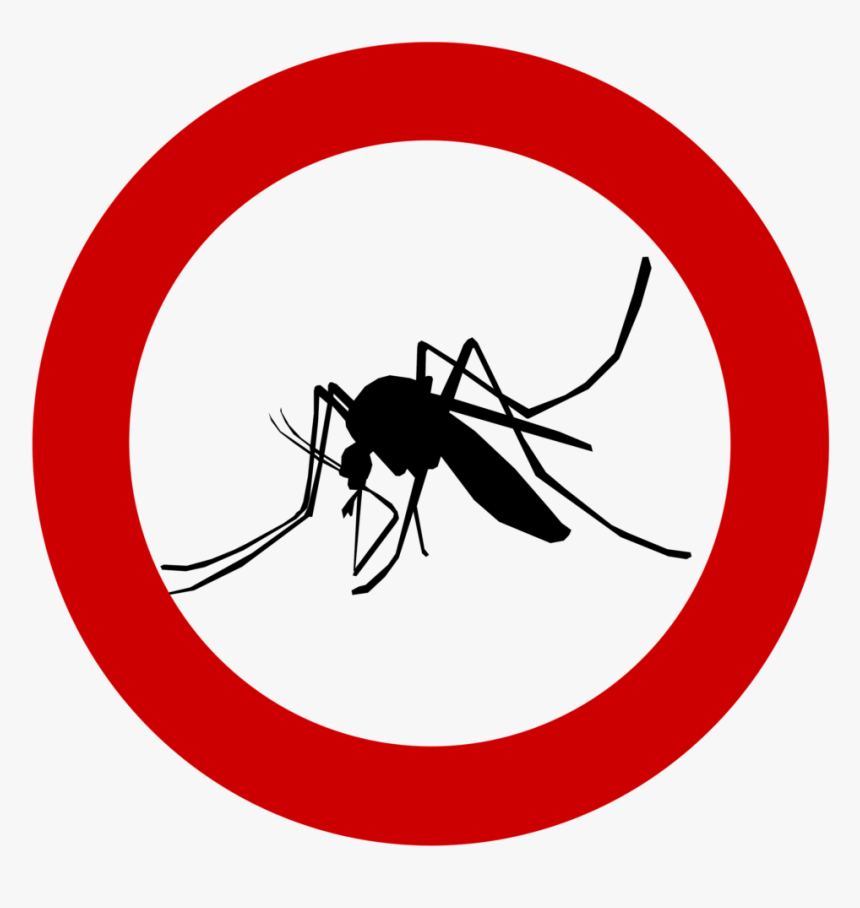 Mosquito Clip Jpeg - Dengue Clipart Png, Transparent Png, Free Download