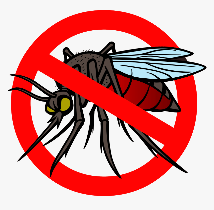 Mosquito Clip Art Mosquito Clipart Harm Pencil And - No Mosquito Clipart, HD Png Download, Free Download