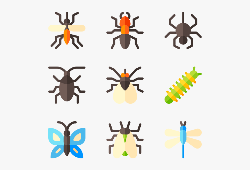 Insects, HD Png Download, Free Download