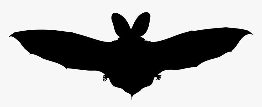 Brown Long-eared Bat Silhouette - Bat, HD Png Download, Free Download